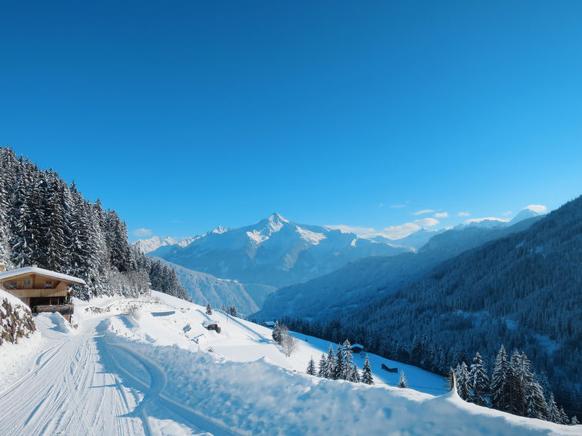 Ferienhaus Österreich Mayrhofen 13 Personen Ferienhaus Österreich Mayrhofen 13 Personen