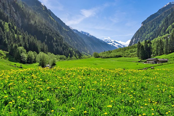 Wetter Österreich - Frühling im Zillertal Wetter Österreich